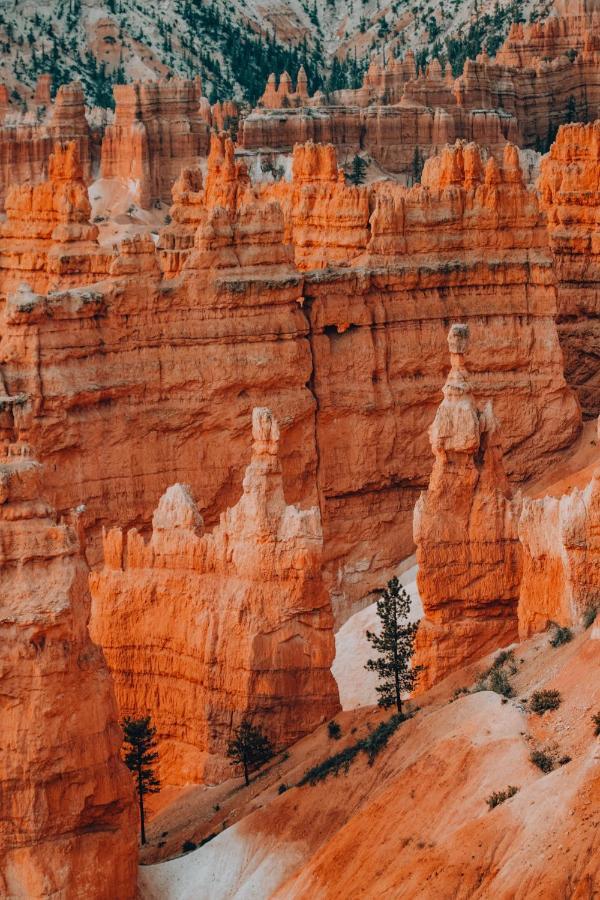 Wander Camp Bryce Canyon - Escalante Cannonville Bagian luar foto